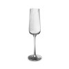 Drink & Bar Salt&Pepper | Champagne Glass 24Cl Ray - Set/4