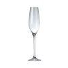 Drink & Bar Salt&Pepper | Champagne Glass 21Cl Cuvee - Set/6