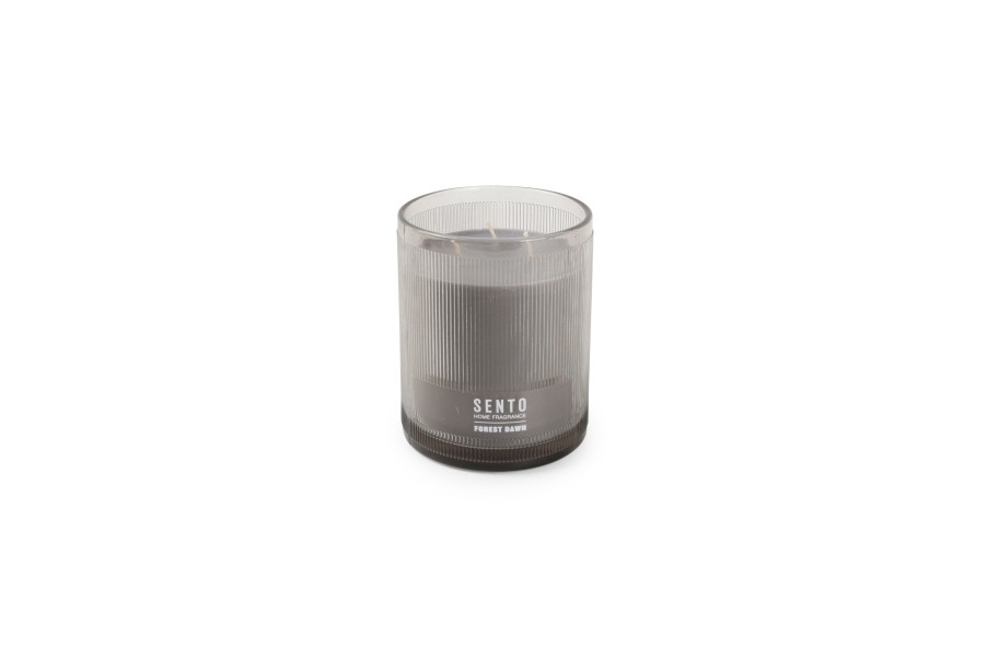 Home & Living Salt&Pepper | Scented Candle 438G Forest Dawn Sento